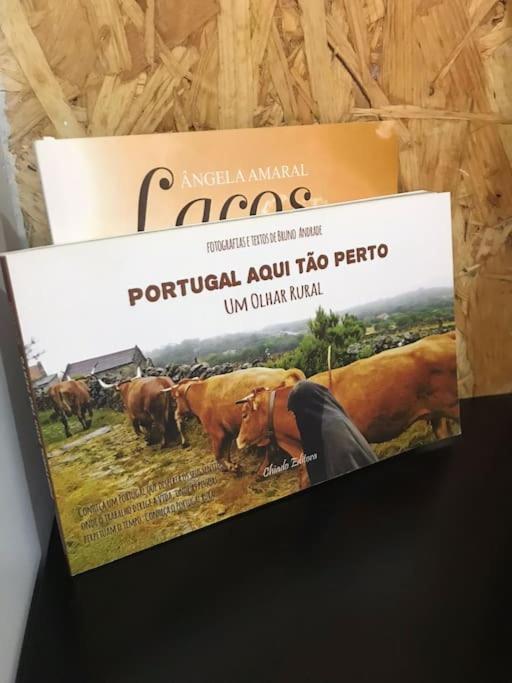 Rustico T1 No Centro Cidade Guarda Bagian luar foto